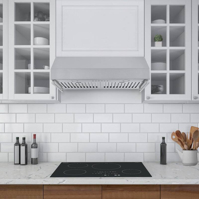 30 in. 450 CFM Ducted Under Cabinet Range Hood with Auto Night Light and Utensil Bars in Stainless Steel