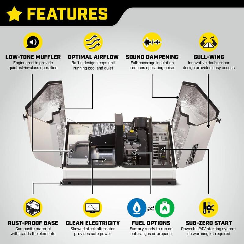 12500-Watt Air Cooled Automatic Home Standby Generator with 100 Amp 14 Circuit Transfer Switch